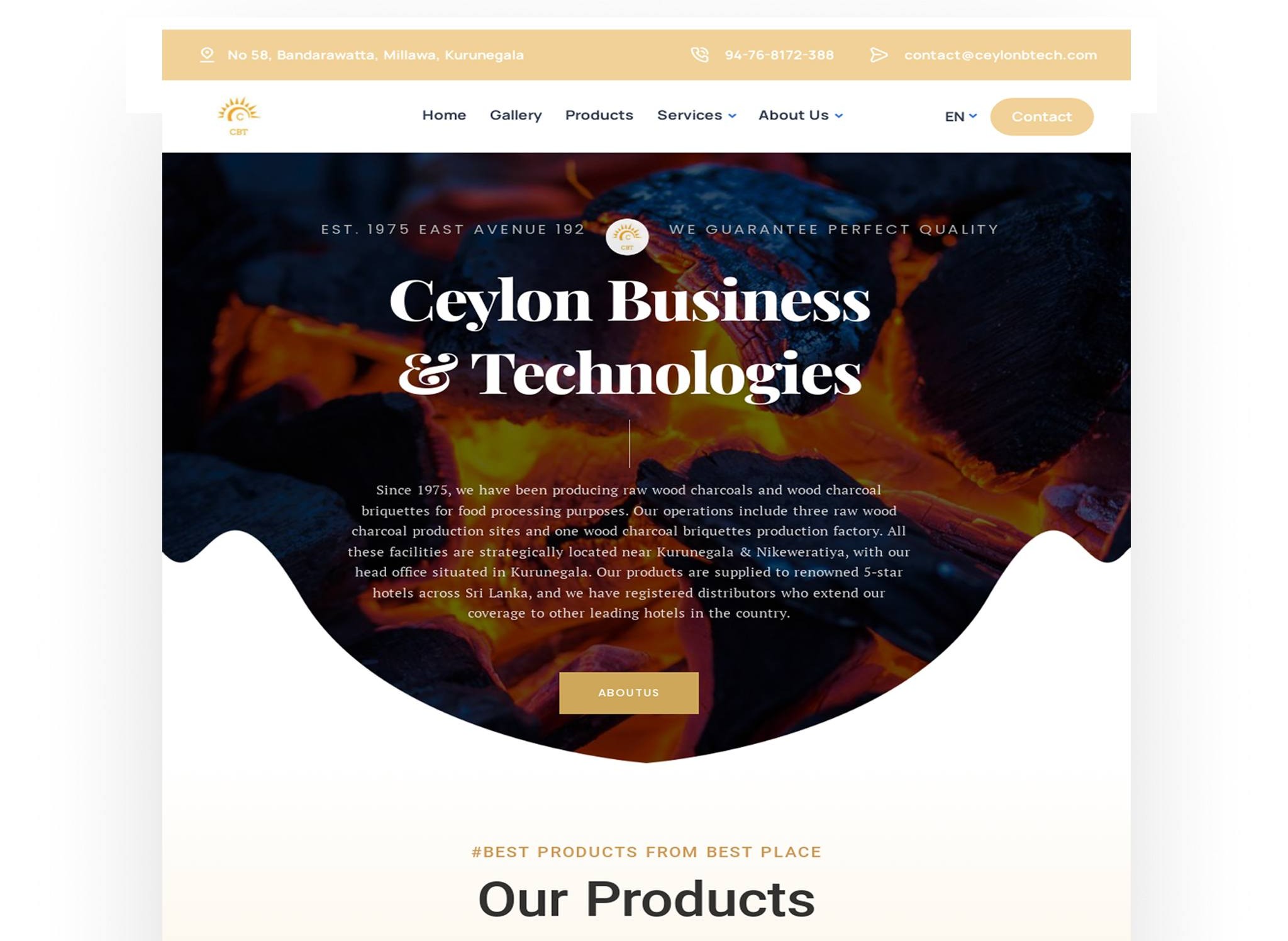 Ceylon Business & Technologies – Web Development